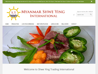 Shweying International